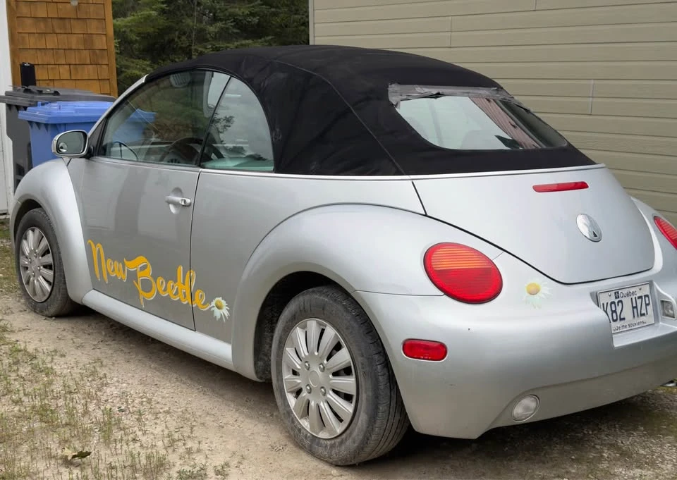 2003 Volkswagen New Beetle - Image 3 of 6