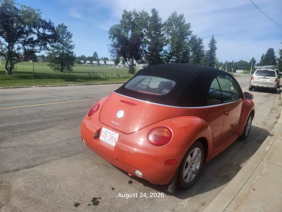 2003 Volkswagen New Beetle - Image 5 of 5