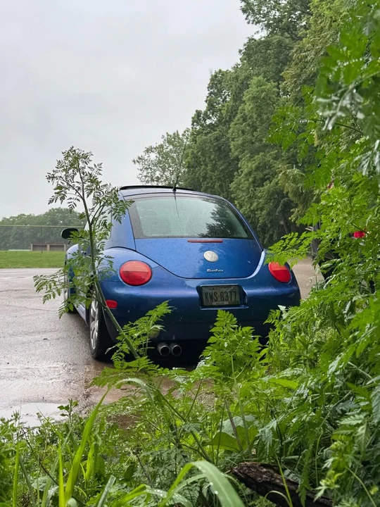 2003 Volkswagen New Beetle - Image 3 of 13