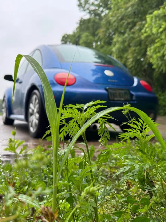 2003 Volkswagen New Beetle - Image 2 of 13