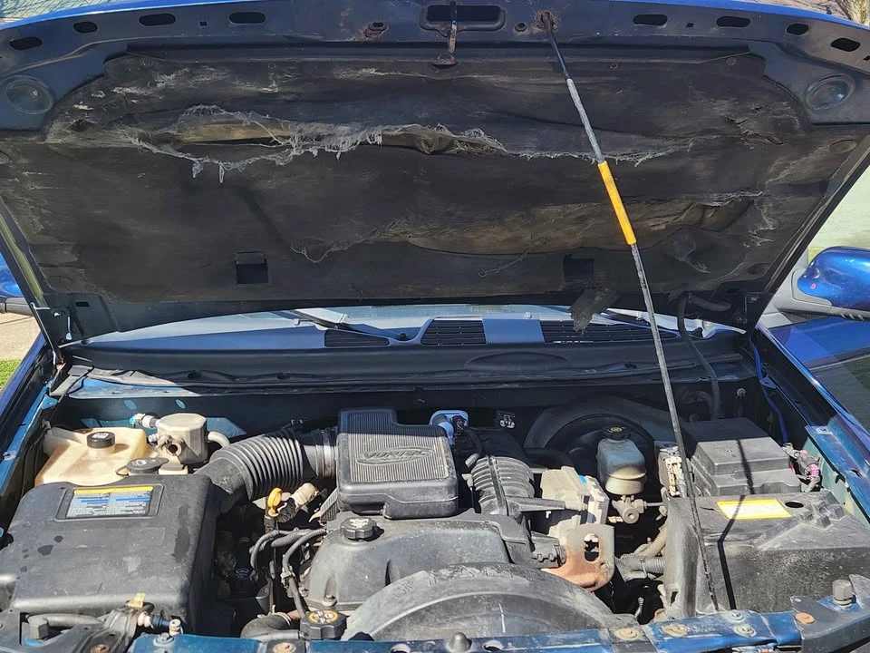 2003 Chevrolet Trailblazer - Image 5 of 5