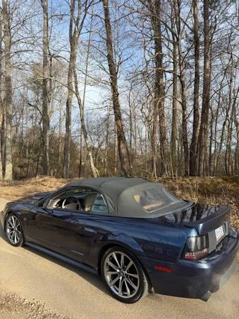 2003 Ford SN95 Mustang - Image 14 of 21