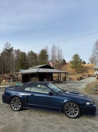 2003 Ford SN95 Mustang - Image 20 of 21