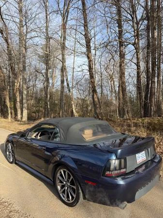 2003 Ford SN95 Mustang - Image 18 of 21