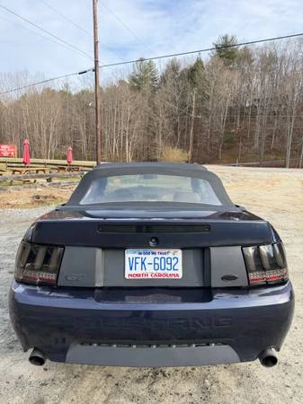 2003 Ford SN95 Mustang - Image 12 of 21