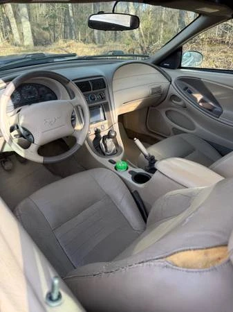 2003 Ford SN95 Mustang - Image 17 of 21