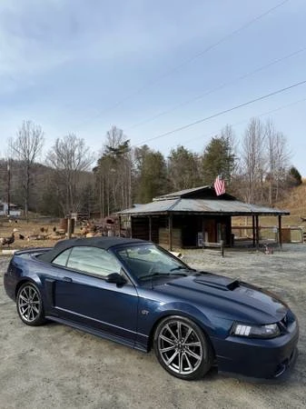 2003 Ford SN95 Mustang - Image 7 of 21
