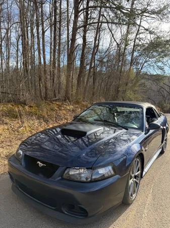 2003 Ford SN95 Mustang - Image 16 of 21