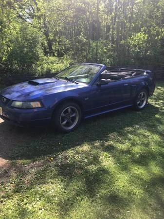 2003 Ford SN95 Mustang - Image 2 of 18