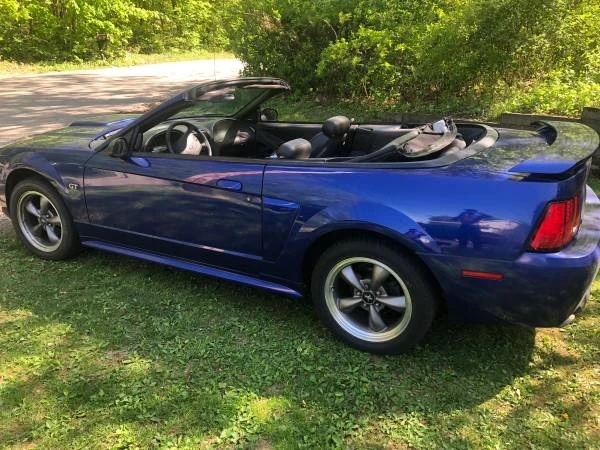 2003 Ford SN95 Mustang - Image 5 of 18