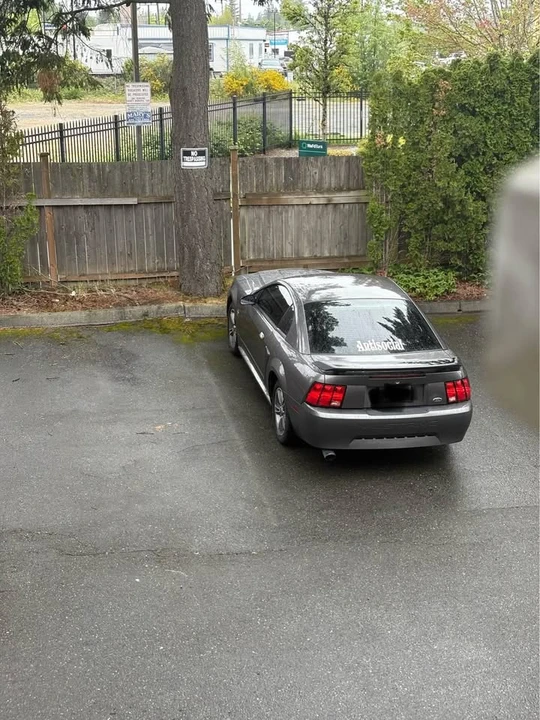 2003 Ford SN95 Mustang - Image 2 of 8