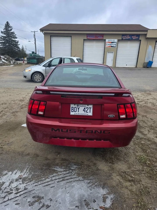 2003 Ford SN95 Mustang - Image 4 of 5