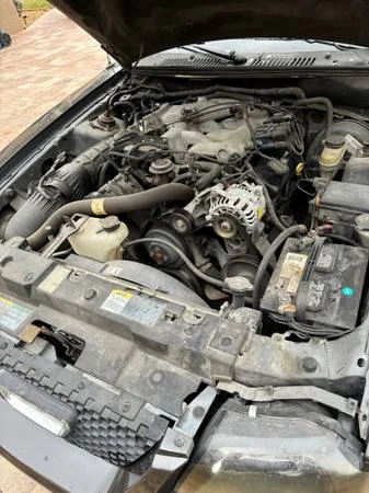 2003 Ford SN95 Mustang - Image 3 of 3