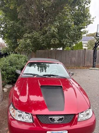 2003 Ford SN95 Mustang - Image 2 of 6