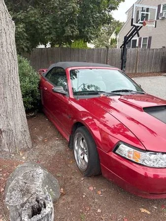 2003 Ford SN95 Mustang - Image 3 of 6