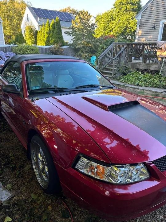 2003 Ford SN95 Mustang - Image 2 of 9