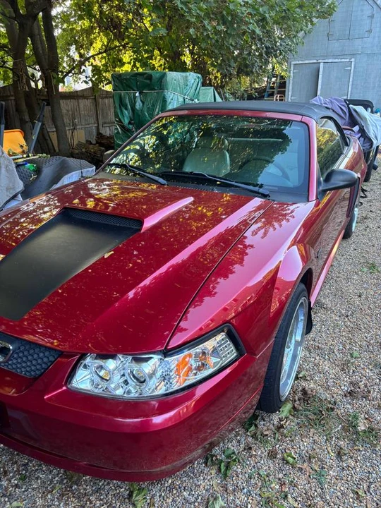 2003 Ford SN95 Mustang - Image 5 of 9