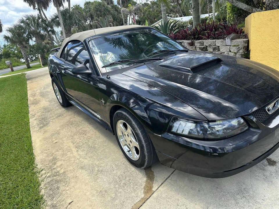2003 Ford SN95 Mustang - Image 2 of 5