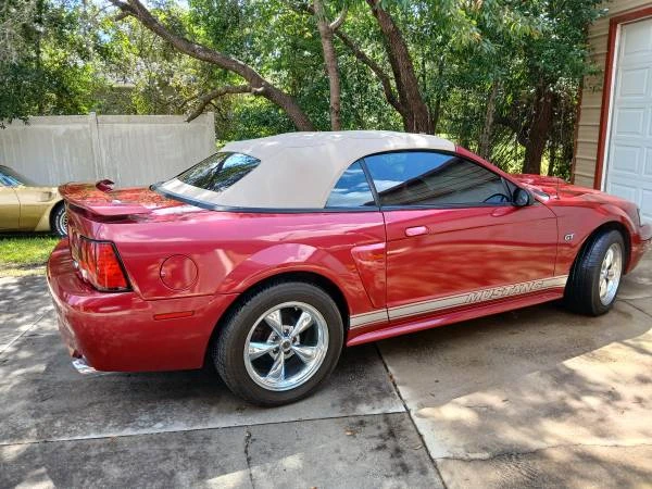 2003 Ford SN95 Mustang - Image 12 of 12