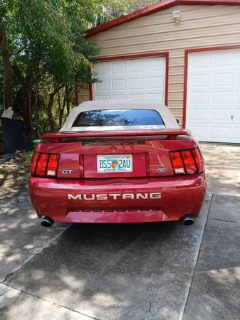 2003 Ford SN95 Mustang - Image 11 of 12