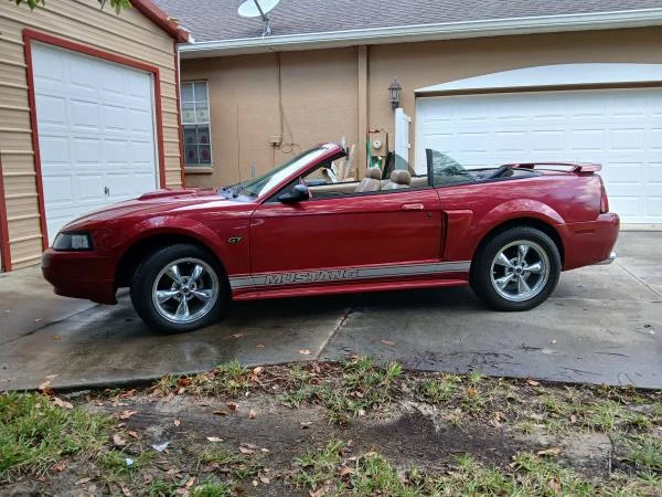 2003 Ford SN95 Mustang - Image 2 of 12