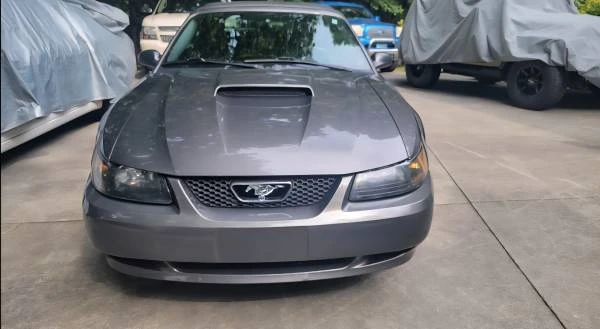 2003 Ford SN95 Mustang - Image 7 of 13