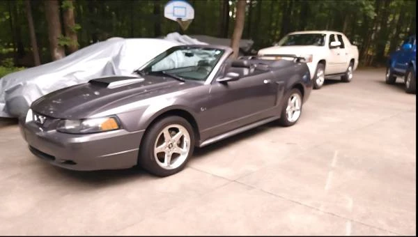 2003 Ford SN95 Mustang - Image 10 of 13