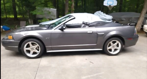 2003 Ford SN95 Mustang - Image 11 of 13