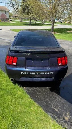 2003 Ford SN95 Mustang - Image 4 of 16
