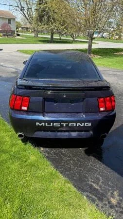 2003 Ford SN95 Mustang - Image 4 of 16