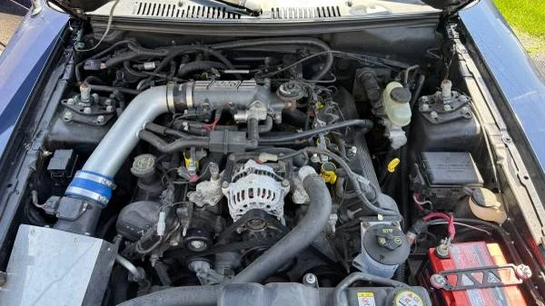 2003 Ford SN95 Mustang - Image 7 of 16
