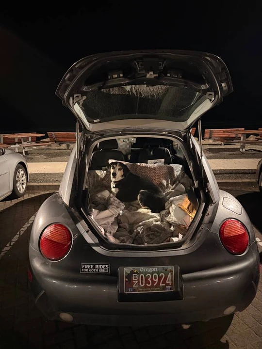 2003 Volkswagen Beetle - Image 17 of 18