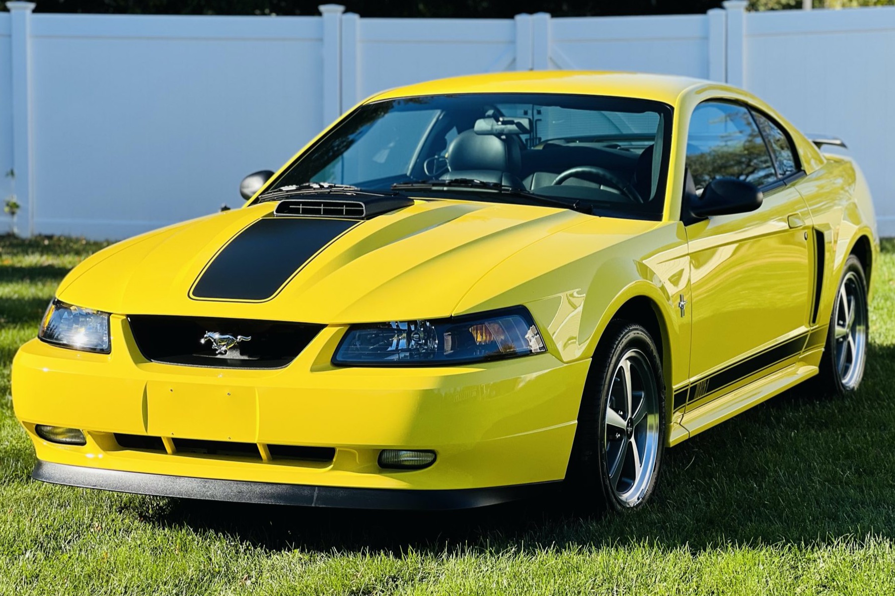 1,400-Mile 2003 Ford Mustang Mach 1 5-Speed