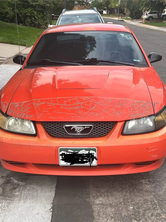 2004 Ford SN95 Mustang - Image 3 of 10