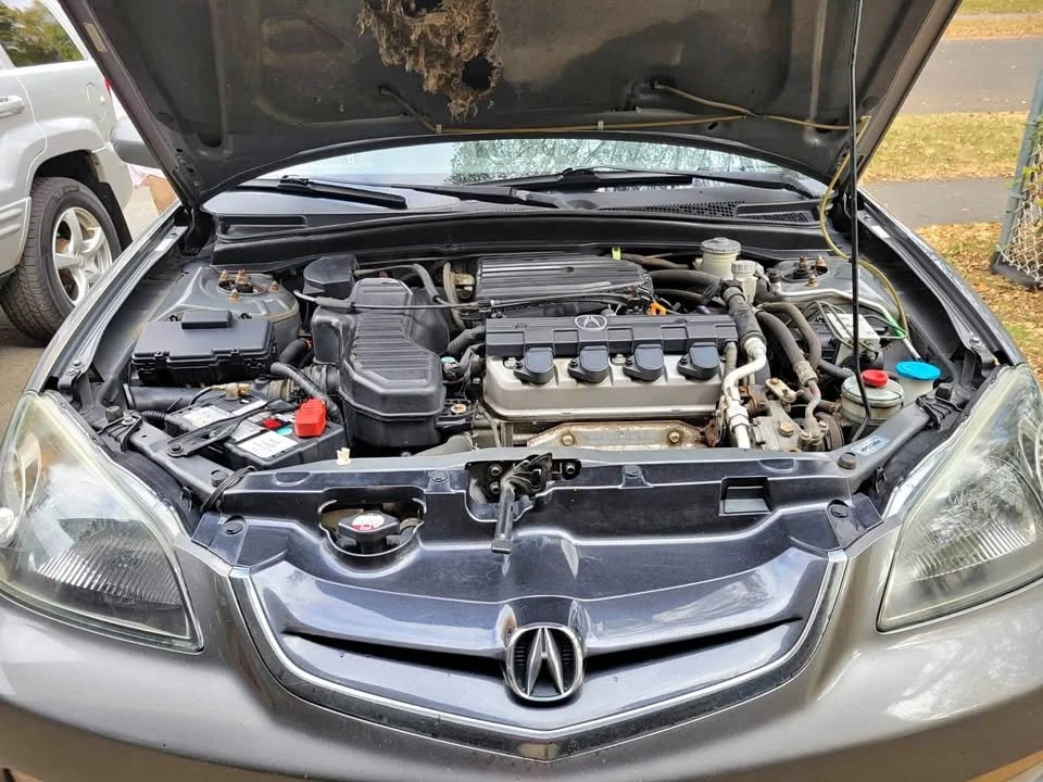 2004 Acura EL - Image 2 of 10