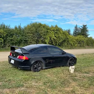 2004 Acura RSX Premium