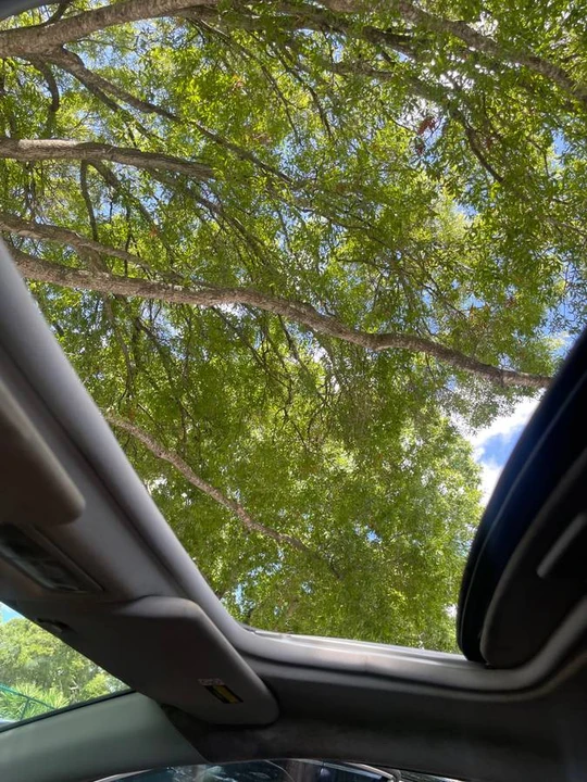 2004 Acura RSX Type-S - Image 3 of 21