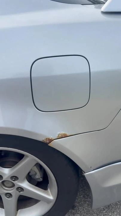 2004 Acura RSX - Image 18 of 18