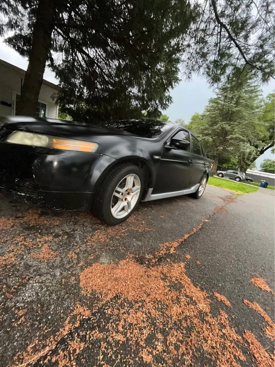 2004 Acura TL 3rd Gen - Image 5 of 8
