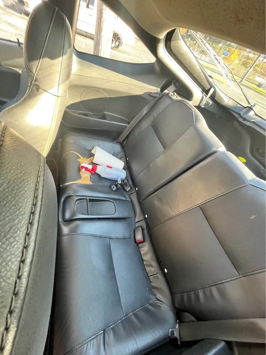 2004 Acura RSX - Image 6 of 6