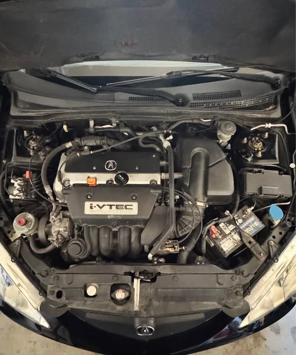 2004 Acura RSX - Image 16 of 20
