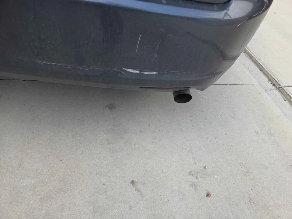 2004 Acura RSX - Image 8 of 11