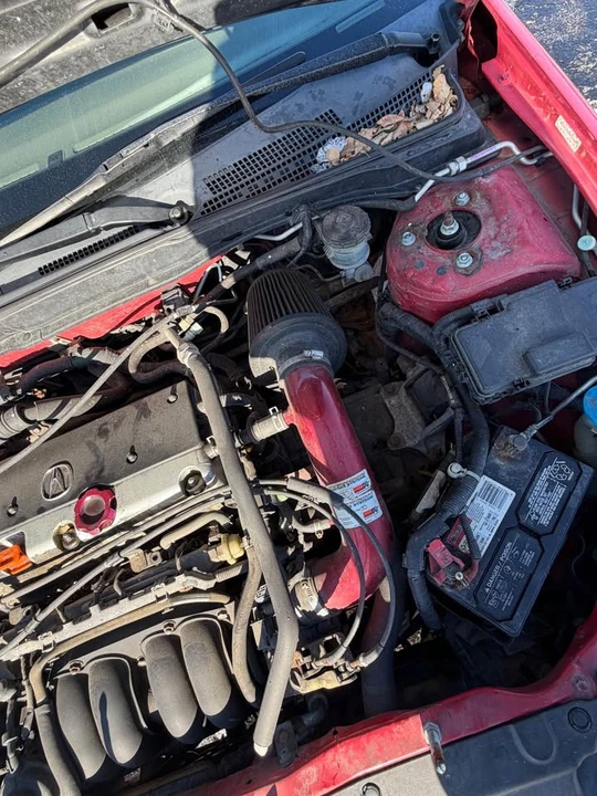 2004 Acura RSX - Image 13 of 14