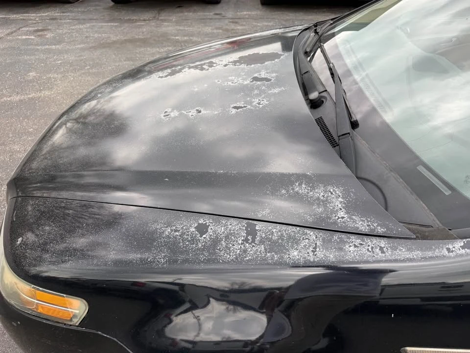 2004 Acura TL 3rd Gen - Image 10 of 13