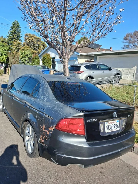 2004 Acura TLX - Image 5 of 10