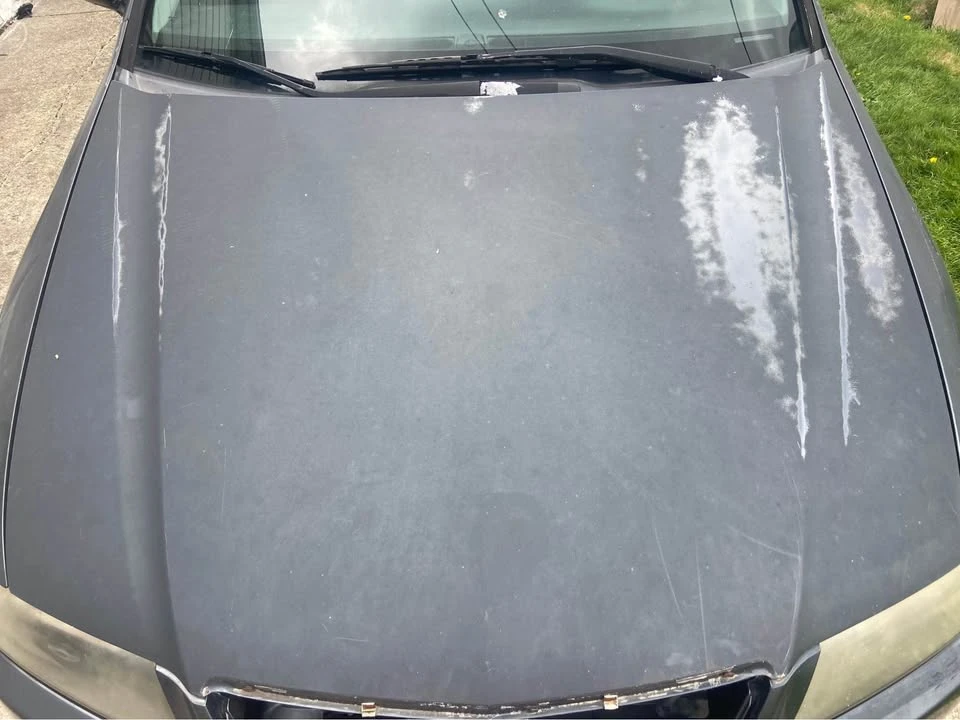 2004 Acura TSX 1st Gen - Image 13 of 14
