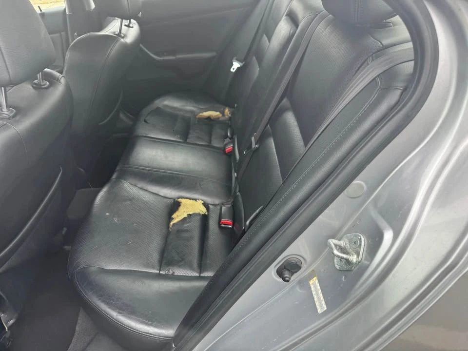 2004 Acura TSX 1st Gen - Image 10 of 10