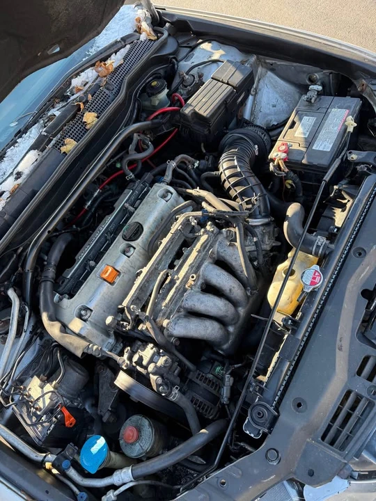 2004 Acura TSX 1st Gen - Image 6 of 6