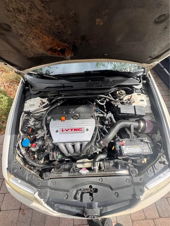 2004 Acura TSX 1st Gen - Image 6 of 12