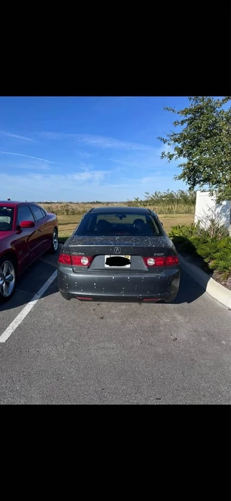 2004 Acura TSX 1st Gen - Image 4 of 10
